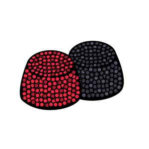 Pick 'n' Mix - Black & Raspberry Berries