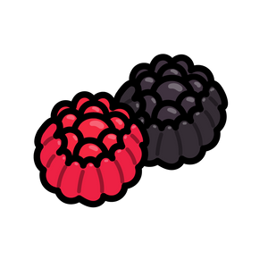 Pick 'n' Mix - Giant Blackberries & Raspberries